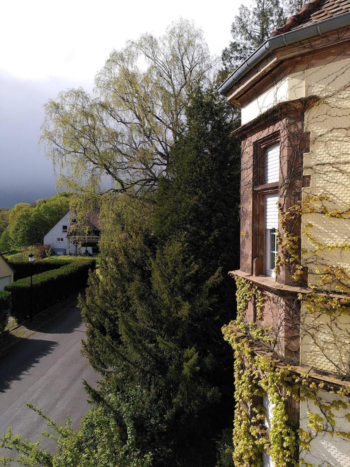 Chez Jeanne A La Villa Gruber La Petite-Pierre Εξωτερικό φωτογραφία